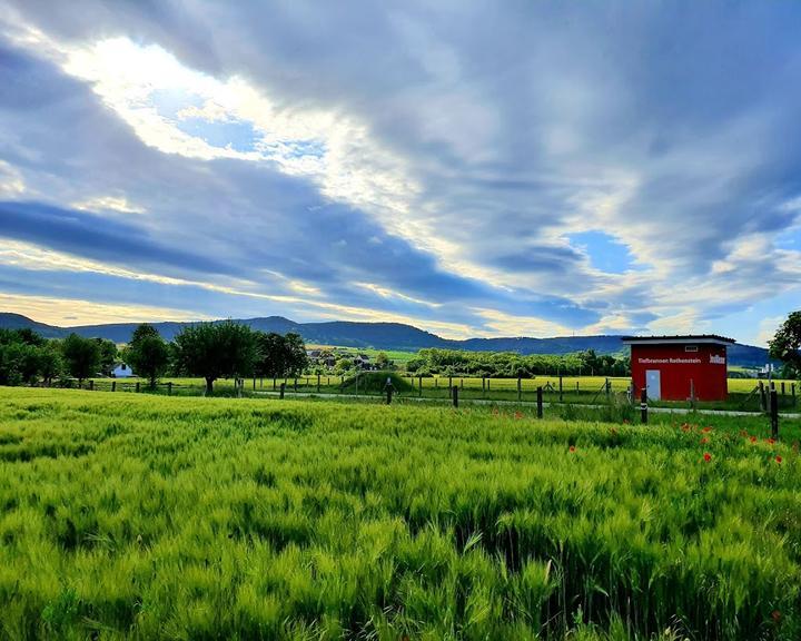 Restaurant Helenenstein