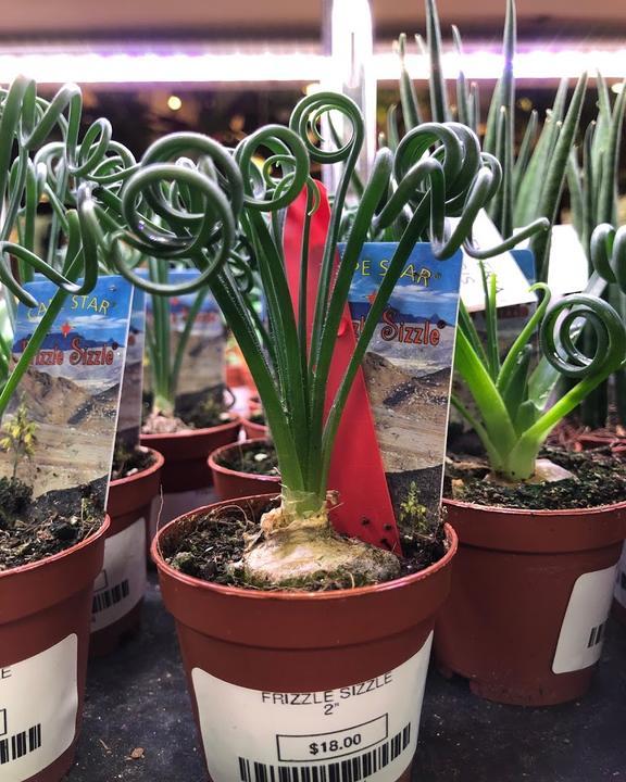 Peace, Love & Burgers