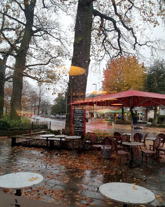 Chez Wilma - Cafe Bar & Petits Delices