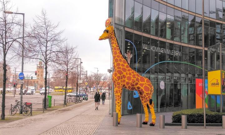 Giraffe