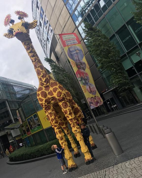 Giraffe