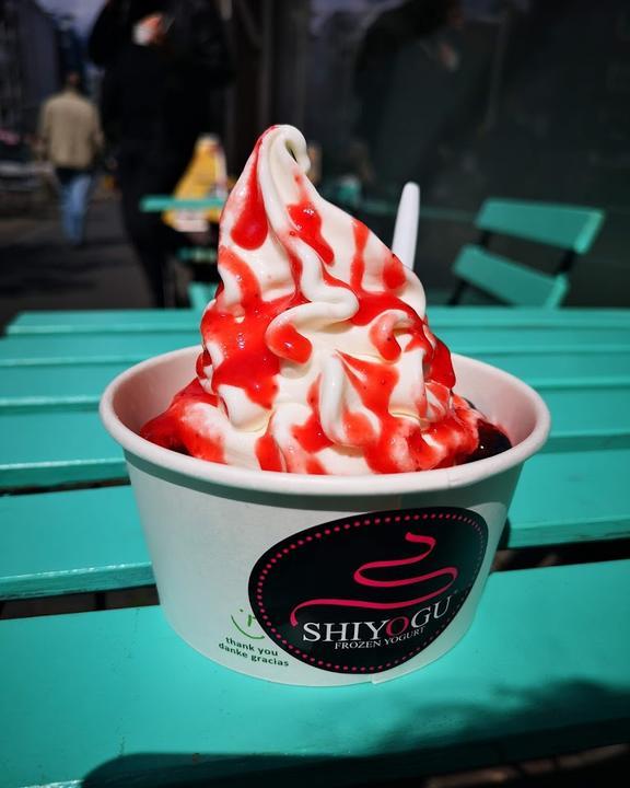 Shiyogu Frozen Yogurt