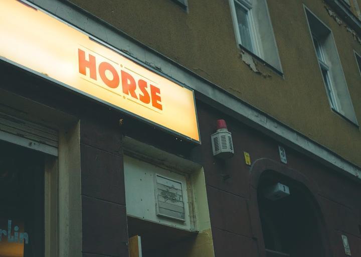 Horse