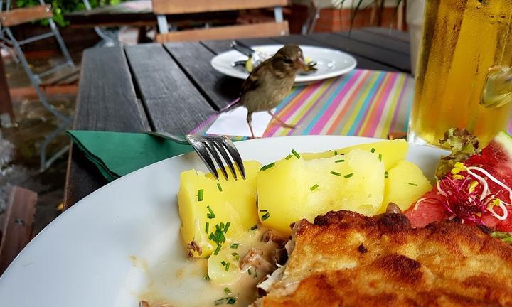 Gasthof zum Oberfeld
