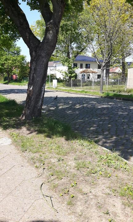 Gasthof zum Oberfeld