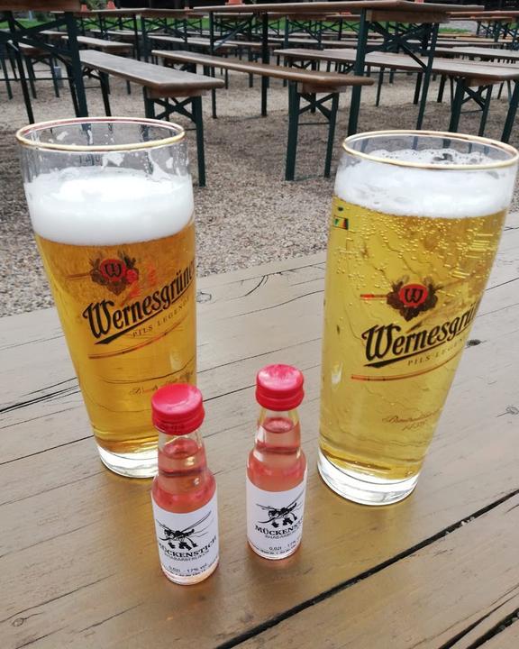 Elbterrassen Biergarten an der Elbe