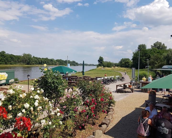 Elbterrassen Biergarten an der Elbe