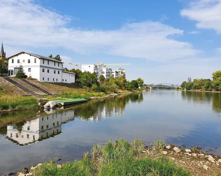 Elbterrassen Biergarten an der Elbe