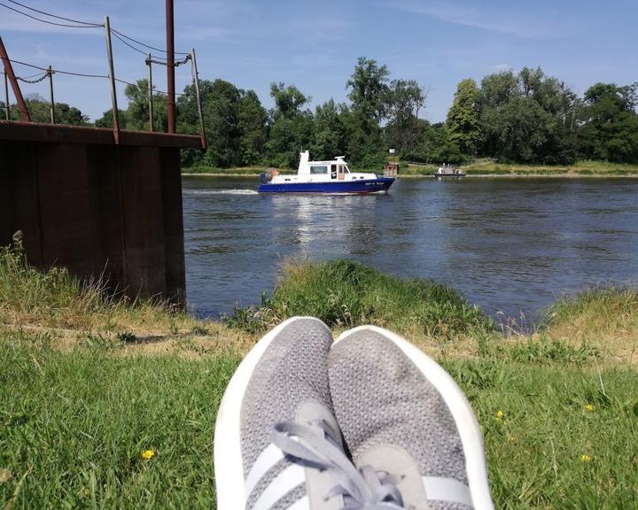 Elbterrassen Biergarten an der Elbe