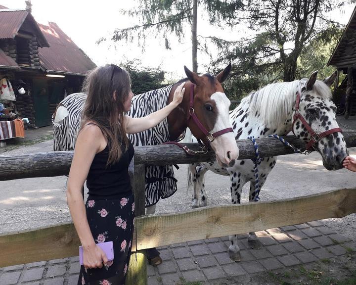 Pony-Waldschanke