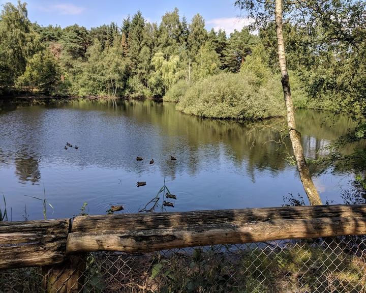 Kleine Waldschänke am Wildgehege
