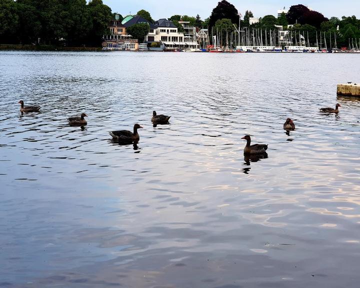 Alster Cliff
