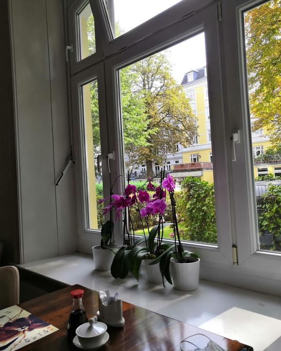 Lotusblüte