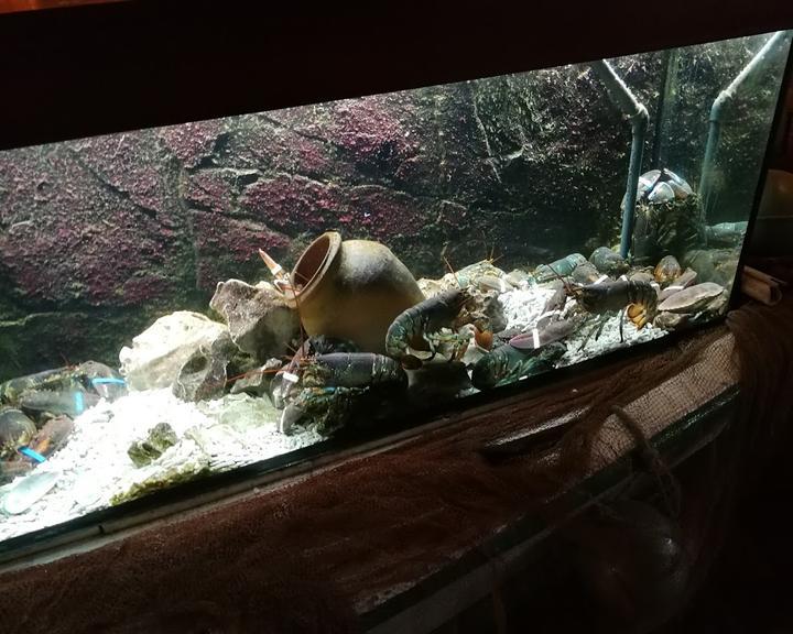 El Pulpo