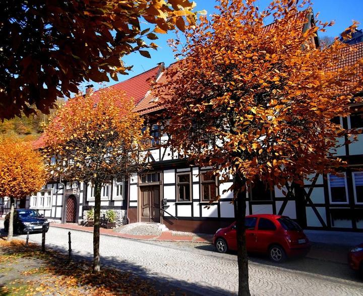 Sonjas Cafe Mit Geschenkestübchen