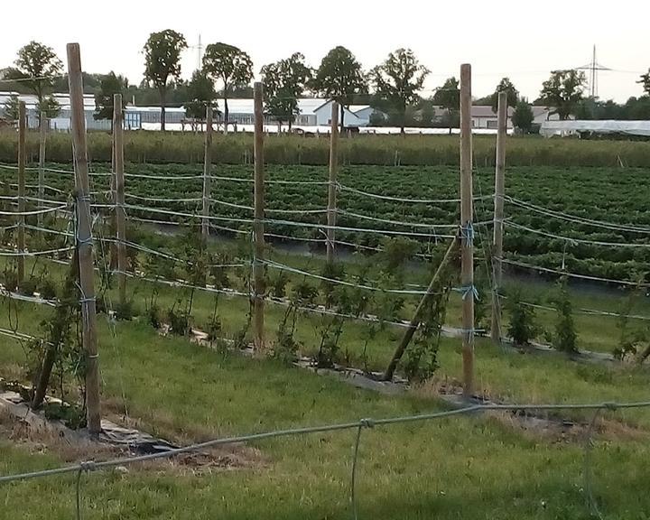 Hofreiter Beerencafé Feldmoching
