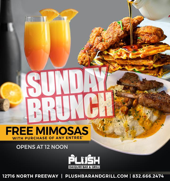 Plusch Bar & Lounge