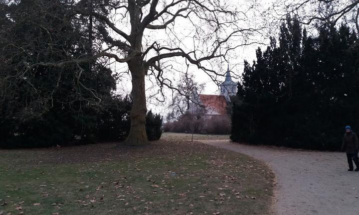 Zur Linde