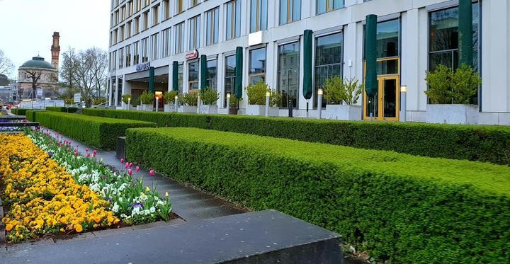 Majolika im Novotel