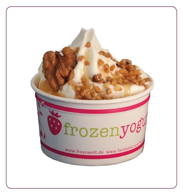 Café Froyowelt