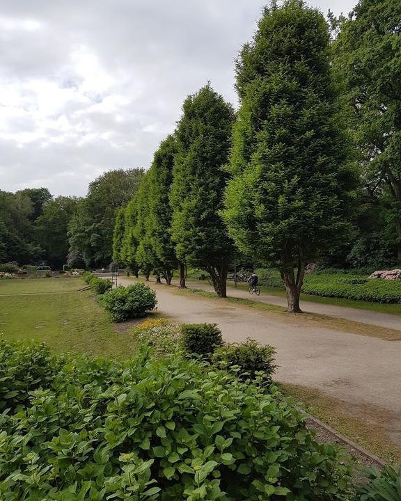 Trinkhalle im Stadtpark