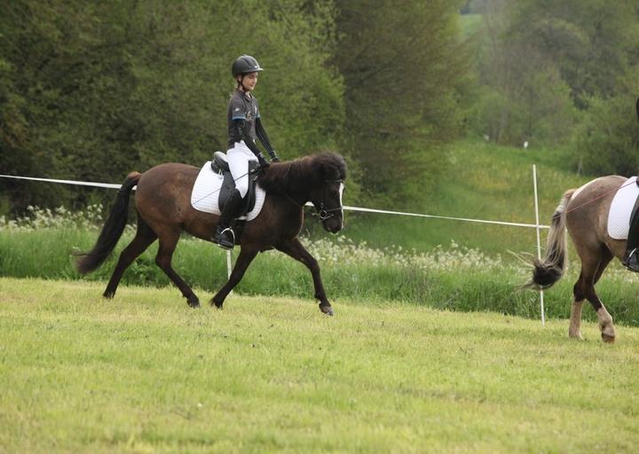 Gasthaus Üdersdorfer Mühle