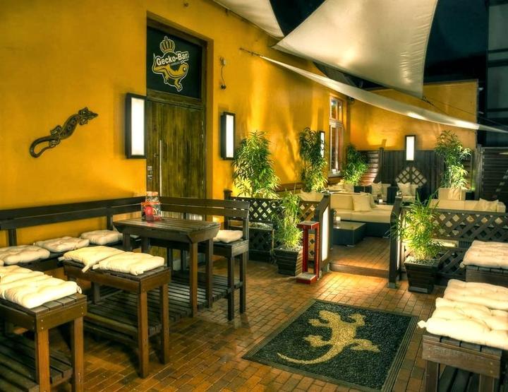 Gecko-Bar