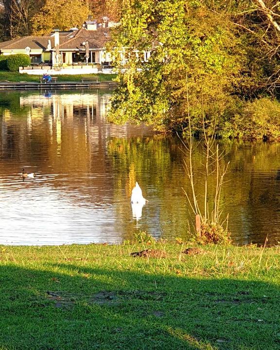 Haus am See
