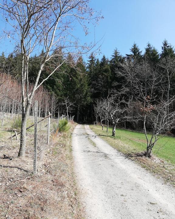 Schwarzwaldstüble