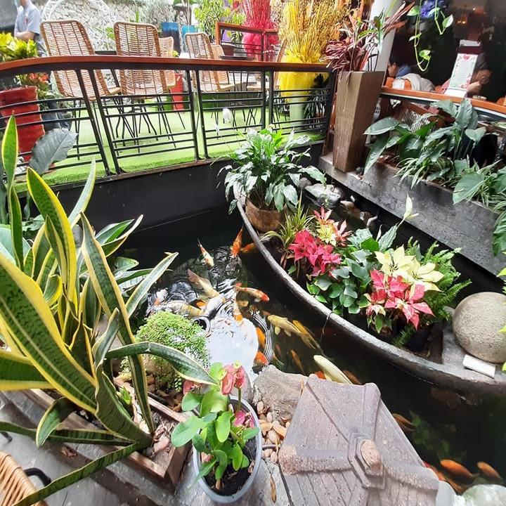 Zen House Vegetarian Restaurant
