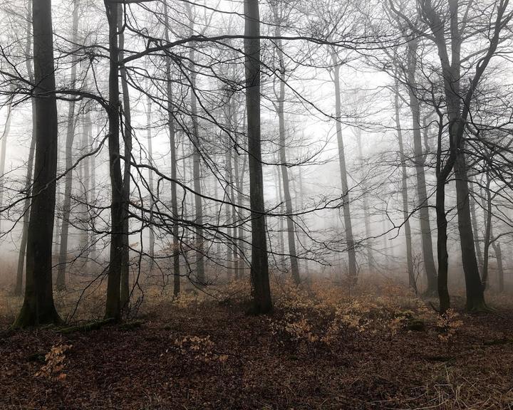 Waldgaststätte Hohes Gras