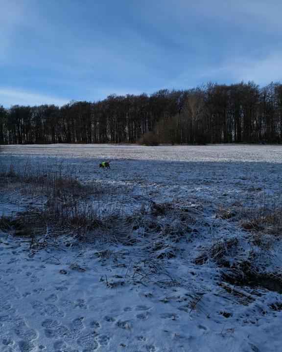 Waldgaststätte Hohes Gras