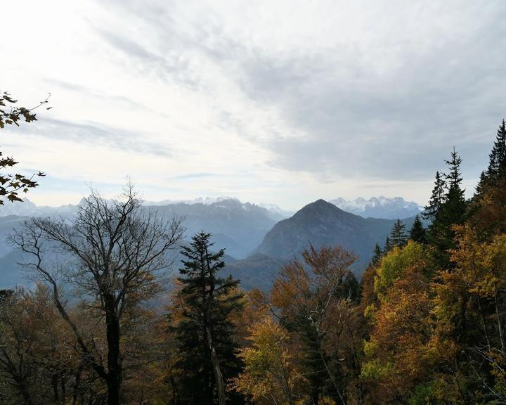 Zwieselalm