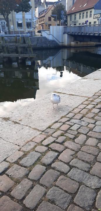 Flipper - Das Raucherschiff