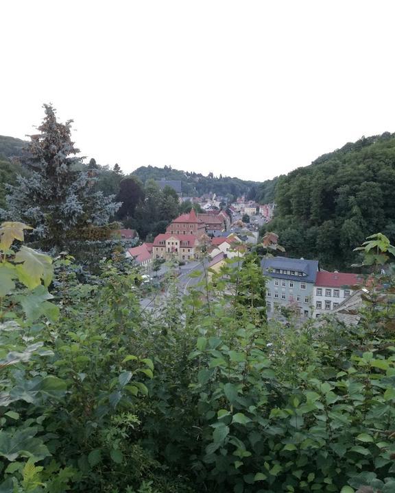Burgkeller Tharandt