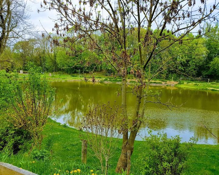 Teich - Cafe