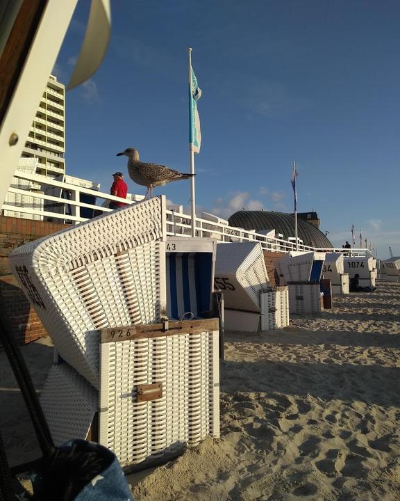 Gosch am Strand