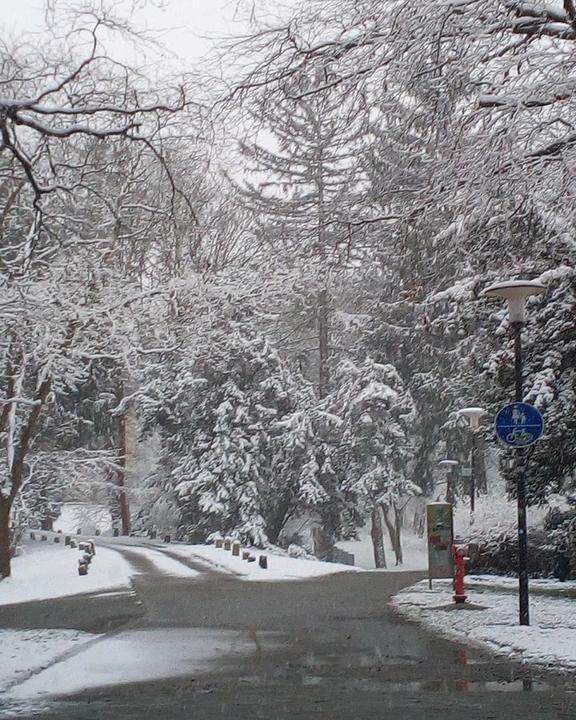Wolfenbuetteler Tortenkultur