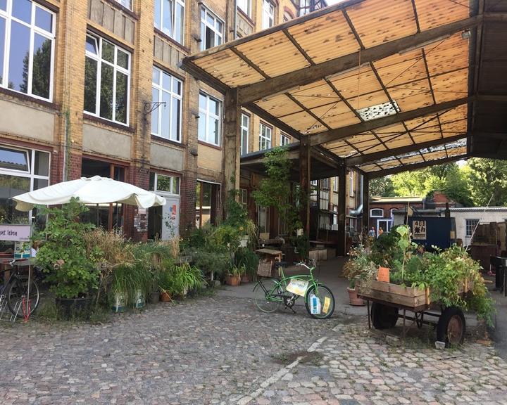 endorphina Backkunst