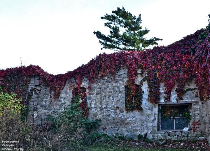 Weingut Pawis