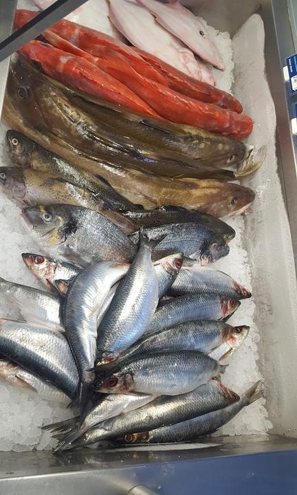 Fisch Eichrodt