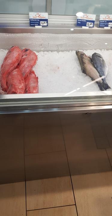 Fisch Eichrodt