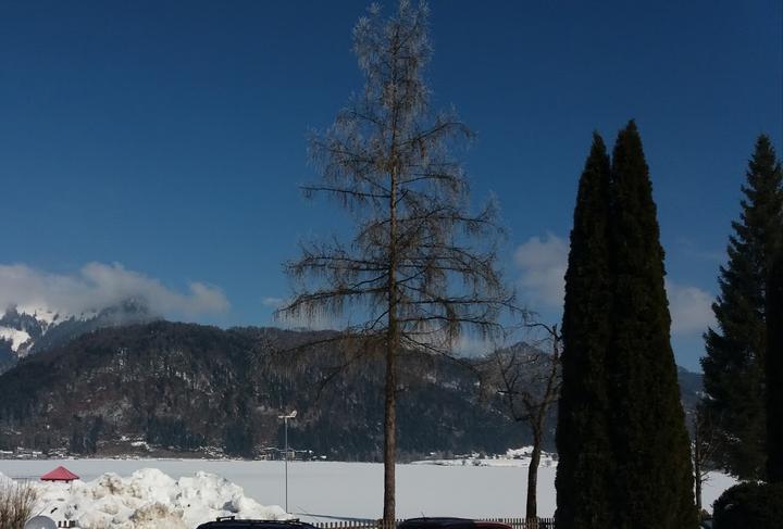 Restaurant Cafe am See