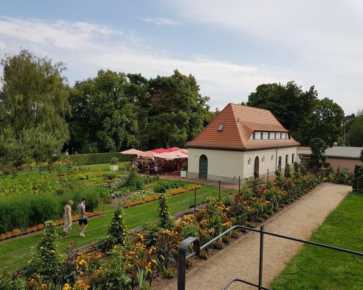 Sommercafe im Landhausgarten Dr Max Fraenkel