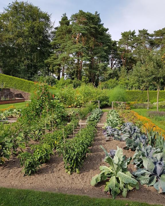 Sommercafe im Landhausgarten Dr Max Fraenkel