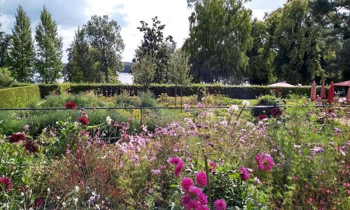Sommercafe im Landhausgarten Dr Max Fraenkel