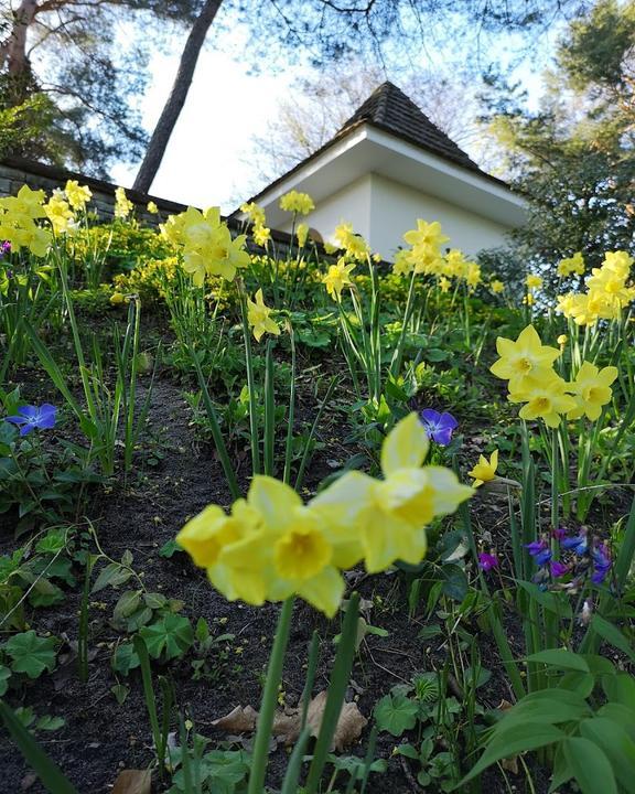 Sommercafe im Landhausgarten Dr Max Fraenkel