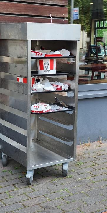 Kentucky Fried Chicken