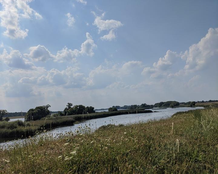 De Krauler Kroog