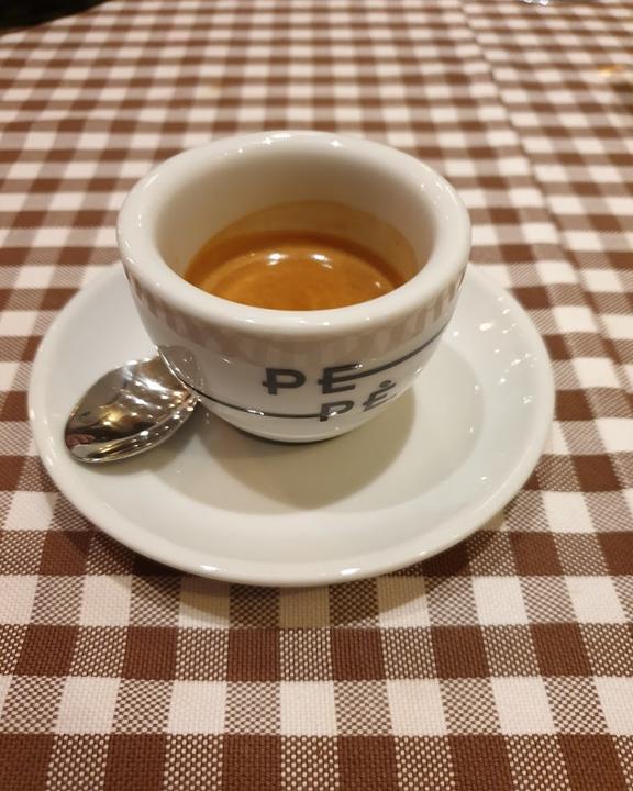 Il Gatto
